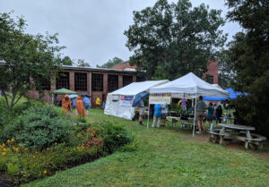 A rainy Pollinator Day.