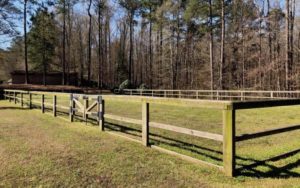 Cover photo for 140 Acres for Lease in Clayton With 90 Ac in Pasture