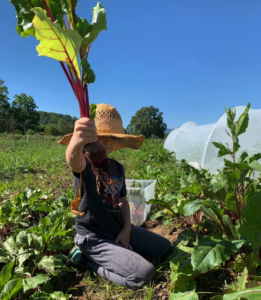 child holding beet plant at Dharma Creek Farm