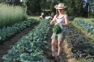 Cover photo for Learn How NC FarmLink Can Help Farmers and Farm Workers Find Each Other!
