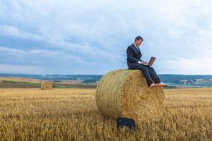 Man sitting on hay bale